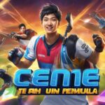 Ceme Online Terbaik untuk Pemula 2024