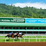 Taruhan Kuda Tanpa Deposit