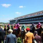 Bandar Judi Balap Kuda