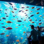 Judi Tembak Ikan Terpercaya