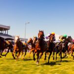 Prediksi Balap Kuda Hari Ini